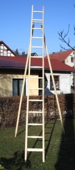 Fichte oder Hartholzsprossen für Obstleitern